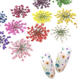 Decoración de <span class=keywords><strong>Uñas</strong></span> 3D de 12 Colores, <span class=keywords><strong>Flores</strong></span> <span class=keywords><strong>Secas</strong></span> Reales <span class=keywords><strong>para</strong></span> Gel UV y Puntas Acrílicas - Product Image 5