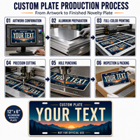 Placa de Matrícula Personalizada de Aluminio de 12x6 Pulgadas, Texto Personalizado Impreso a Todo Color, Letrero Decorativo para Automóvil