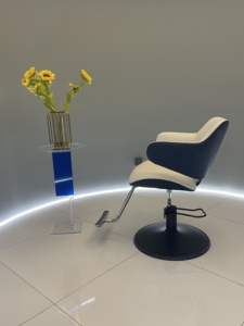 बोझू सैलून फर्नीचर सोने की कुर्सी हेयरड्रेसिंग बेज चेयर ब्यूटी सैलून - Product Image 2