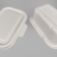 Assiettes jetables biodégradables en bagasse de canne à sucre pour plats à emporter, barquettes rectangulaires pour gâteaux d'anniversaire, assiettes alimentaires jetables pour barbecue