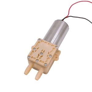 Pompe à eau professionnelle personnalisée sans balais DC 12V haute pression auto-amorçante sans huile à faible débit pour usage domestique OEM - Product Image 6