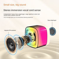 Système Karaoké Sans Fil Personnalisé 5.1 avec Batterie 1000-2000mAh, Portable pour Usage Domestique et Extérieur, Éclairage Ambiant RGB Tout-en-un