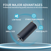 Moteur CC sans balais 16 mm 5-6 V 8000 tr/min Haute efficacité 90 % Faible bruit pour pompe à perfusion médicale