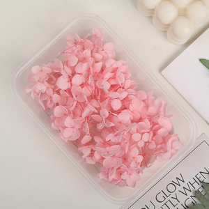 Vente en gros de fleurs d'hortensia naturelles, réelles, préservées, séchées et pressées, à bas prix, pour la fabrication de bougies, de savons, de résines et la décoration artistique. - Product Image 5