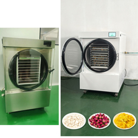 Arrêtez le gaspillage alimentaire, préservez les récoltes du jardin et les restes avec un déshydrateur domestique automatique à commande PLC avec pompe