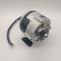 12V Dc Motor Listrik untuk Sepeda 250W MY1016Z