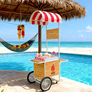 Camión de Helados, Carritos Móviles de Venta de Helados, Kiosco Móvil de Venta de Alimentos, Nuevos Carritos de Venta de Helados y Gelato - Product Image 1