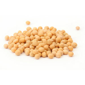 Polvo soluble a base de plantas naturales de alta pureza Suplemento para la salud Fibra dietética de soja - Product Image 2