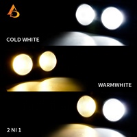 Lampu Panggung Kustom Dua Mata Besar Cob Audience Blinder Led Disco Light untuk Peralatan DJ