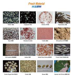 Friandise lyophilisée de gammarus naturel pour l'amélioration de la couleur, pour poissons, tortues, chats, chiens – Vente en gros - Product Image 4