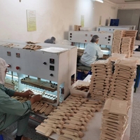 Échantillon gratuit en gros au prix d'usine ensemble de couverts en bois jetables couteau fourchette cuillère