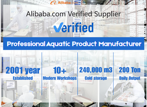 جودة عالية مأكولات بحرية لذيذة حبار Onigiri ، لحم كراب ، سوشي التونة مثلث طعام بالجملة - Product Image 6