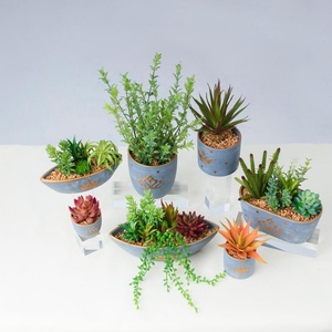 Amazon Venta caliente artificial plantas suculentas para el hogar mesa de Oficina Decoración barco forma <span class=keywords><strong>bonsai</strong></span> - Product Image 6