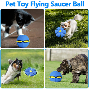 Press <b>Bounce</b> Flying Dog <b>Ball</b> Interactive Outdoor Catch Toy Foot Launch Hand Press Pet Training <b>Ball</b> Dog Toy - Product Image 5