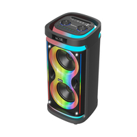 Enceinte portable de fête 60W avec double woofer de 8 pouces, TWS pour karaoké sans fil 5.3, lumières LED RGB, écran HD, en plastique