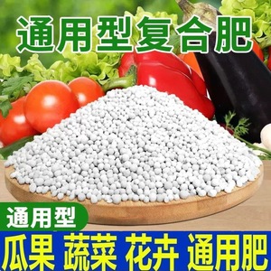 Engrais Composé Spécial pour Légumes 10 Jin NPK 19-19-19 Granulaire Engrais Complet à Tous les Nutriments - Product Image 5