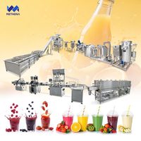 Automatische productielijn voor verse sinaasappel-appel-lychee sap dranken, kleine schaal machine, Turkije
