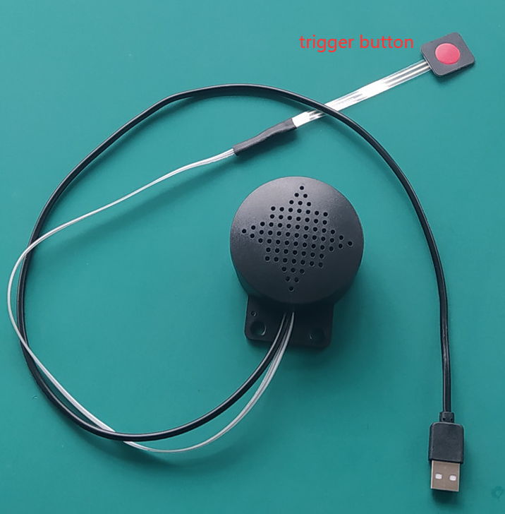 Stylish DIY Car Start-Up Music Speaker Box for All Vehicles