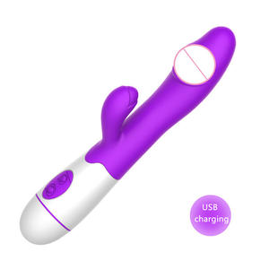 Vibrador de silicone macio para mulheres, vibrador de silicone com motor duplo, melhor vibrador de 10 velocidades, coelho rosa - Product Image 1