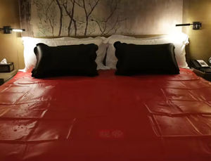 Coussin gonflable pour jeux de lit pour adultes, accessoires sexuels pour couples, draps imperméables en PVC rouge pour BDSM SM - Product Image 4