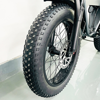 Bicicleta Eléctrica Multiusos de 20 Pulgadas, 48v 25AH, Bicicleta Eléctrica de Montaña, Bicicleta Eléctrica para Adultos, para Entrega de Comida