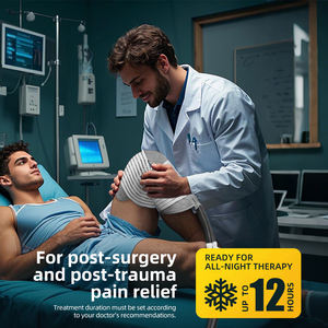 Máquina de crioterapia eléctrica con paquete de hielo para el sistema de terapia de circulación fría helada caliente y congelada en el hogar - Product Image 4