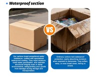 Boîte en carton ondulé haut de gamme personnalisée avec doublure en mousse, design imperméable, impression numérique blanche et noire