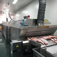 Cryogene Vriezer Koeltunnelmachine Iqf Vloeibare Stikstof Snelvriesapparatuur Ontploffing Bevroren