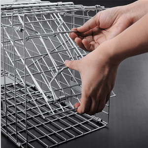 Bẫy Động Vật Nhân Đạo 32 Inch Lồng Thép Để Kiểm Soát Động Vật Gặm Nhấm Sống Chuột Gấu Trúc - Product Image 2