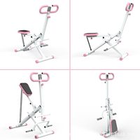 Appareil de fitness abdominal à domicile avec cadre ABS durable et design pliable pour le renforcement musculaire et le remodelage corporel