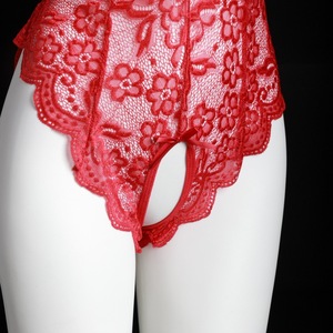 Lemon Story Combinaison sexy en dentelle à entrejambe ouvert, lingerie transparente pour femmes 8842 - Product Image 1