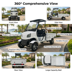 Carrito de Golf Eléctrico de 2 Plazas con Techo Solar Integrado, Diseño Simple y Elegante, 60V58AH, con Caja de Carga para Transporte Diario en Parques de Retiro - Product Image 3