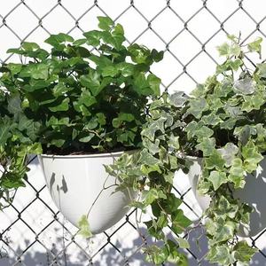 Malla <span class=keywords><strong>de</strong></span> alambre <span class=keywords><strong>de</strong></span> diamante galvanizada <span class=keywords><strong>de</strong></span> bajo precio para cercas <span class=keywords><strong>de</strong></span> <span class=keywords><strong>juegos</strong></span>, directamente <span class=keywords><strong>de</strong></span> fábrica - Product Image 5