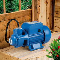 TECHNIC POWER 0.75HP QB70 0.55KW Pompe de jardin auto-amorçante Pompe à eau électrique Irrigation de surface