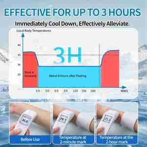 Instant Cooling Ice <b>Packs</b> for Outdoor Activities Summer Heat Relief - <b>Large</b> Disposable Cooling Patches for Neck Body, Camping - Product Image 5