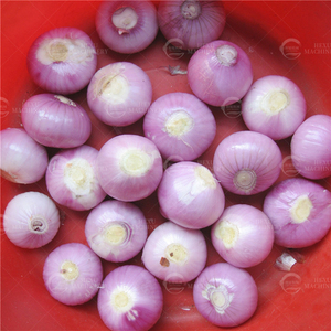 Công nghiệp tỏi lột Peeler thương mại Đỏ hành tây trắng hành tây da Remover Máy hẹ lột máy - Product Image 3