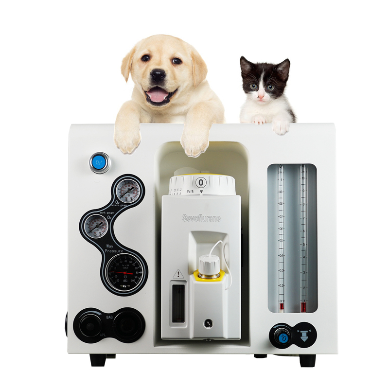 Professional Veterinary Medical Syringe Pump Infusion
