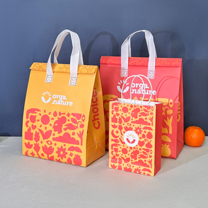 Logo personalizzato monouso borsa di raffreddamento isolamento termico OEM pranzo isolato da portare via buon prezzo pannello solare per il trasporto di alimenti - Product Image 2