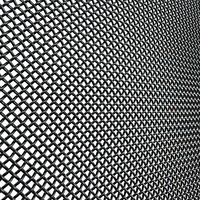 Grillage de sécurité en acier inoxydable marin 316 noir thermolaqué standard avec maille soudée à tissage simple