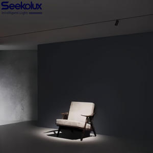 आधुनिक अल्ट्रा-पतली 11 मिमी की अगुवाई वाली कोब चिप ने चुंबकीय ट्रैक लाइट एल्यूमीनियम रैखिक रेल ग्रिल को चुंबकीय ट्रैक किया - Product Image 5