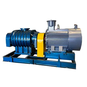 The Three-leaf Roots Blower Produced By Chinese Roots Blower Manufacturer Is Used For Sewage Treatment