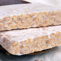 Kemasan jumlah besar Tempe kedelai Premium, alternatif daging Vegan berbasis tanaman Protein tinggi, makanan beku