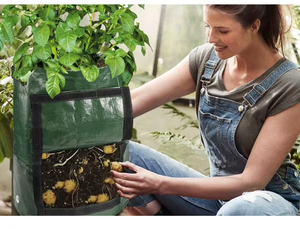 Heavy Duty PE 150gsm Reusable Foldable Eco-Friendly 5 Gallon Capacity <strong>Potato</strong> <strong>Planter</strong> Grow Bags Ventilation Vegetable Planting - Product Image 6