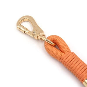 Prodotti di tendenza tik <span class=keywords><strong>tok</strong></span> fibbia in oro 2025 guinzaglio arancione porta cacca per cani dispenser in velluto personalizzato collare per cani da addestramento - Product Image 3
