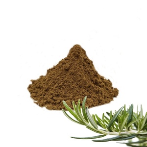 Giá tốt Hương Thảo Chiết Xuất carnosic axit hương thảo lá chiết xuất Rosmarinus officinalis chiết xuất bột - Product Image 4