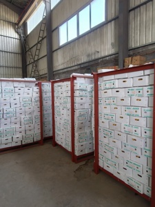 Tươi Khô Gừng Chất Lượng Hàng Đầu Gừng Giá Bán Buôn Hữu Cơ Gừng Gốc Nhà Máy Giá Rẻ Giá - Product Image 6