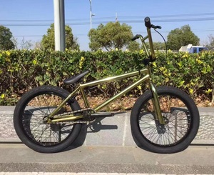 GT BMX 20インチ GT BMX Pro Performer 20
