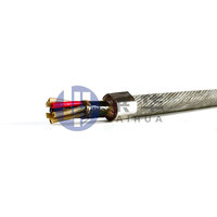Câble chauffant blindé professionnel de haute qualité, personnalisé, avec conducteur en cuivre, isolation en PE et gaine en caoutchouc, spécialisé pour puits pétroliers, 2 fils