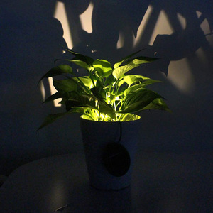 Solar Plant Pot Light Led Indoor Outdoor Garden Decoration Mono-Si Solar Panel 25000 Hours Lifespan Portable <b>Battery</b> Included - Product Image 1