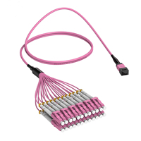 Conectores de Cable Troncal MPO/MTP a SC APC Monomodo de 12 Fibras 10G-100G OM4POE IP TCP para Centros de Datos y Redes 5G SM/MM